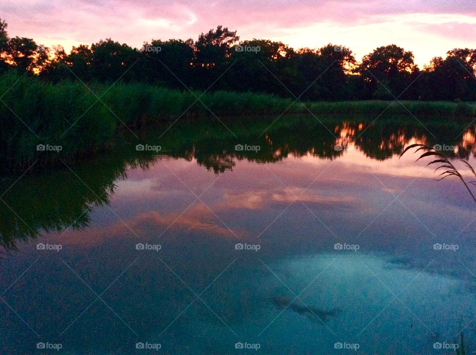 Sky in the pond