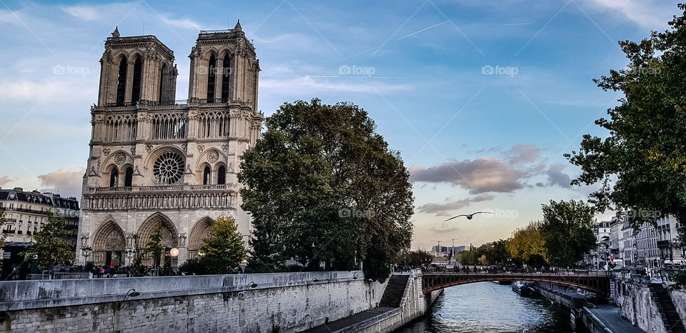 Vue sur Notre Dame