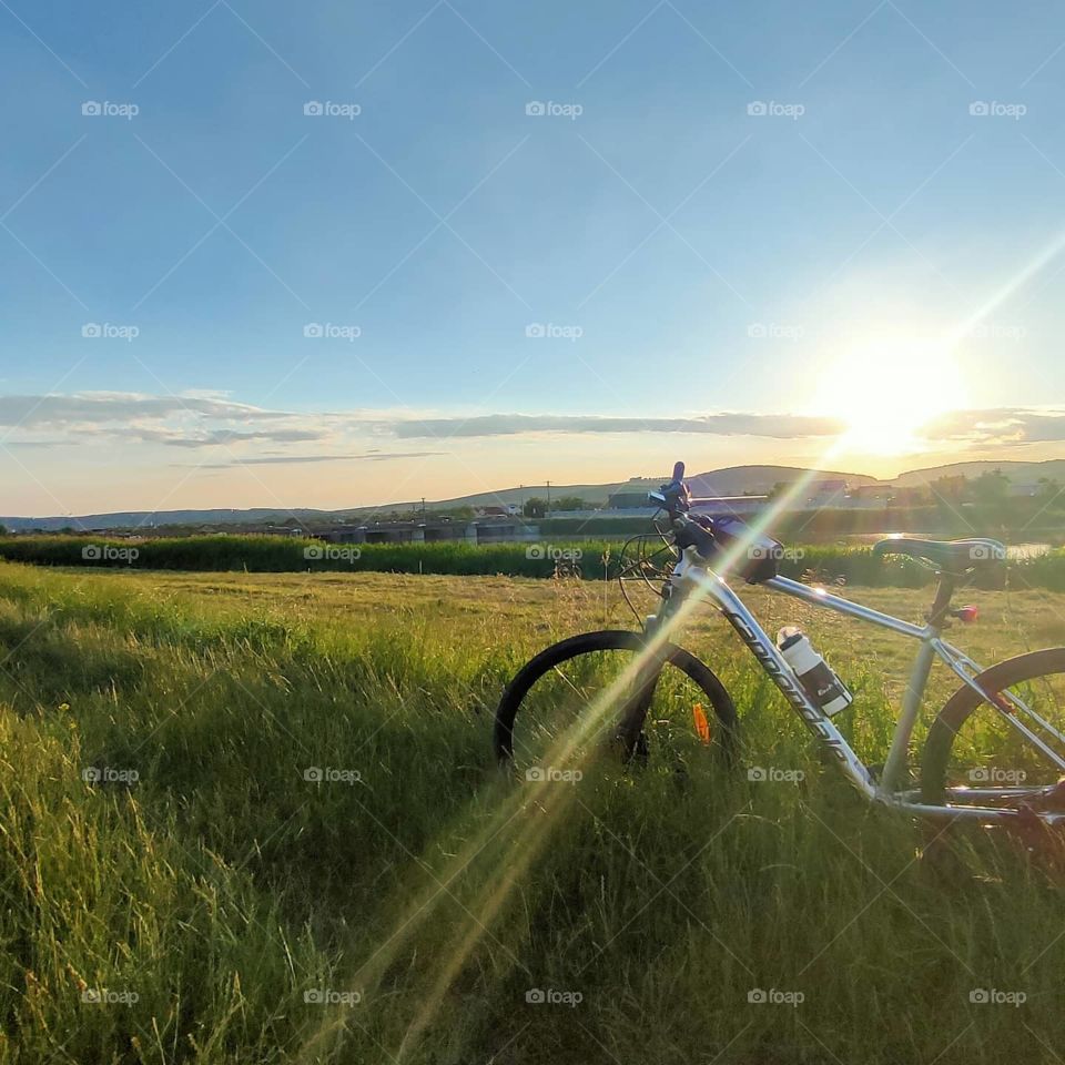 best day for cycling in Transylvania