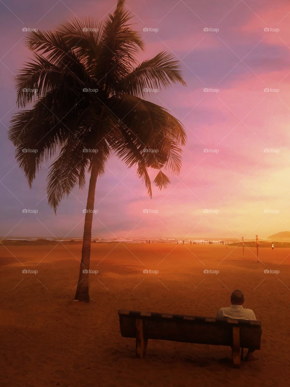 Palm tree sunset sand sea beach sky Retired male Adult Man old Sitting elder elderly Tree Coconut Bench seat people Adult Nature reflect day
