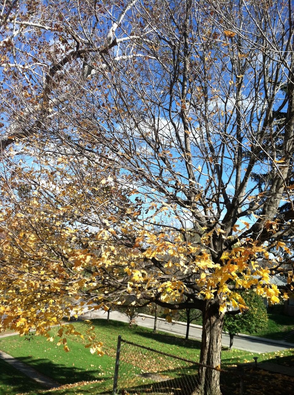 united states city porch view brookside park by eric.head