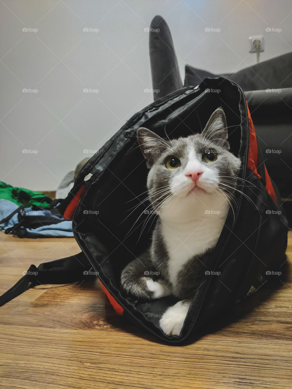 No bad is small enough to sit in