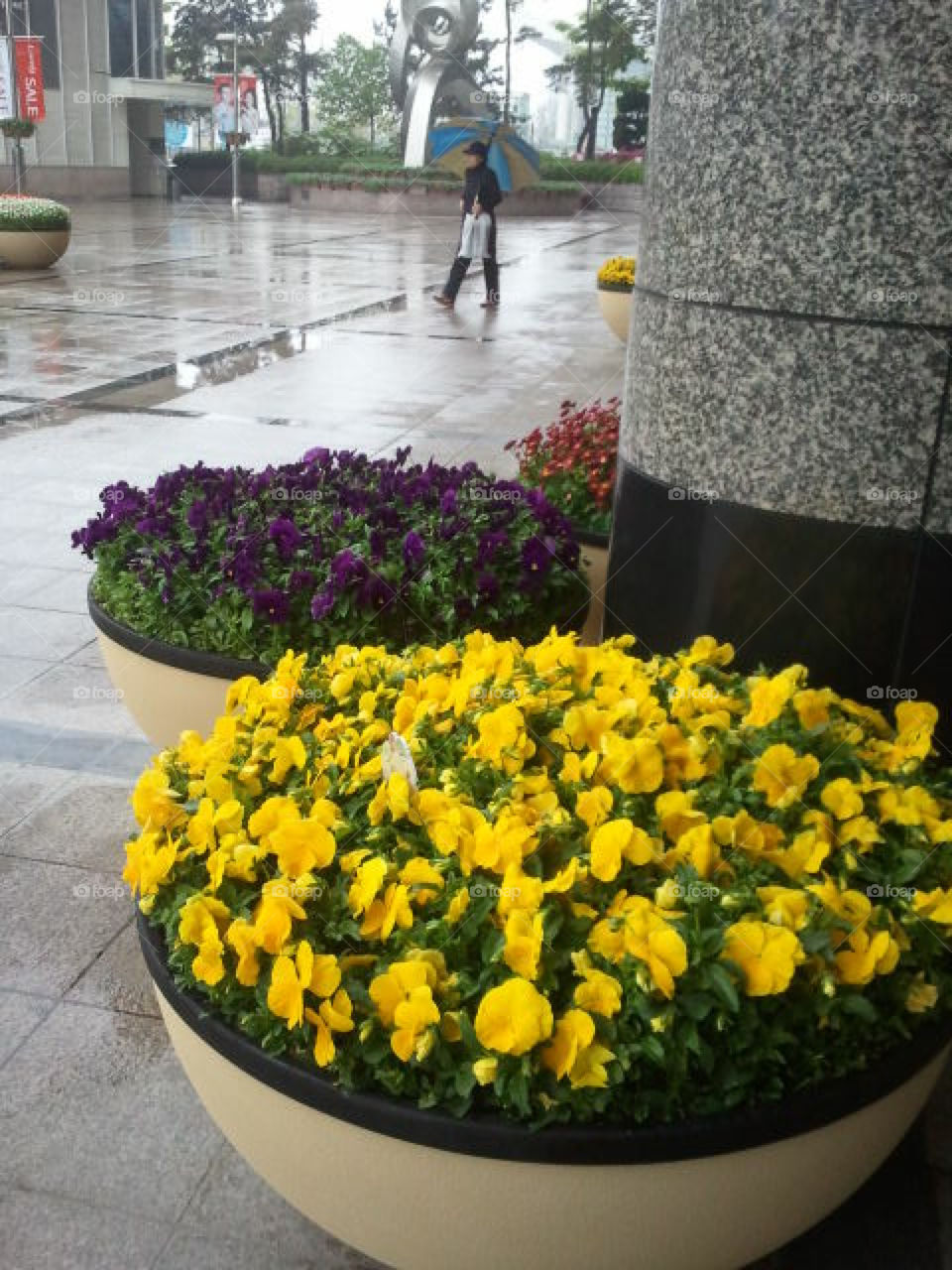 Beautiful flower pots Korea