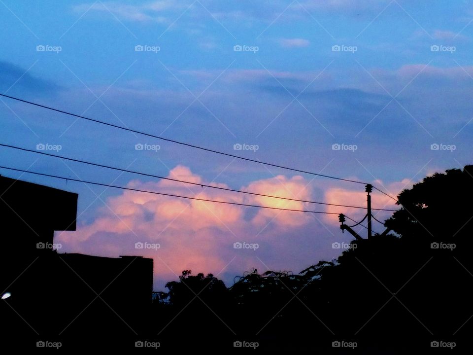 house tree cables silhouettes
