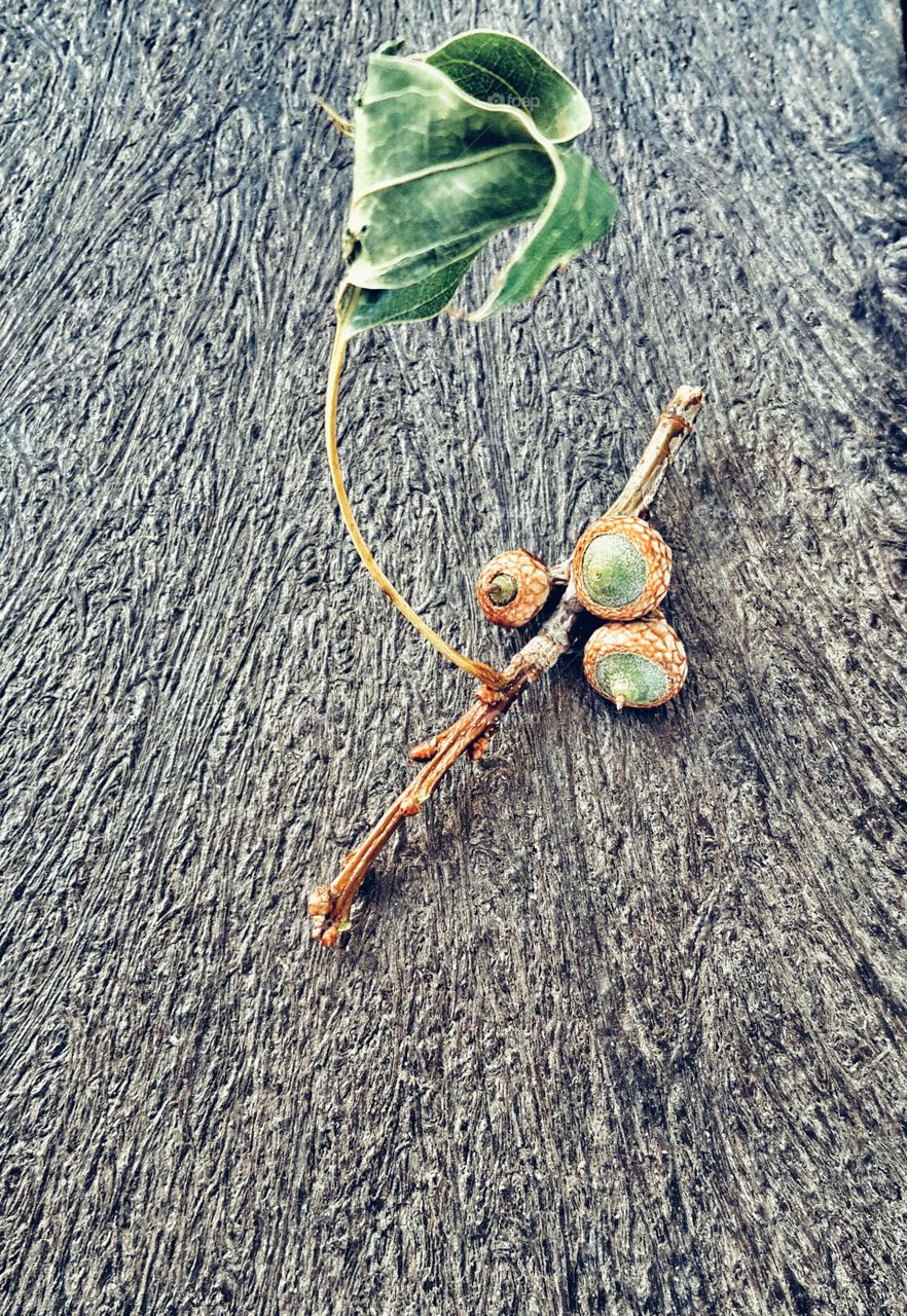 Small humble beginnings