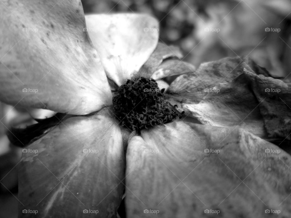 There's beauty in everything, no matter the shape, size, or form