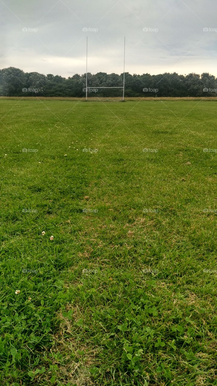 Grass, Lawn, Field, Hayfield, Landscape