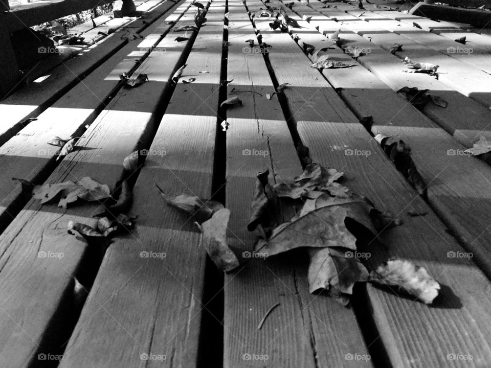 Monochromatic perspective of dry fallen leaves on floor 