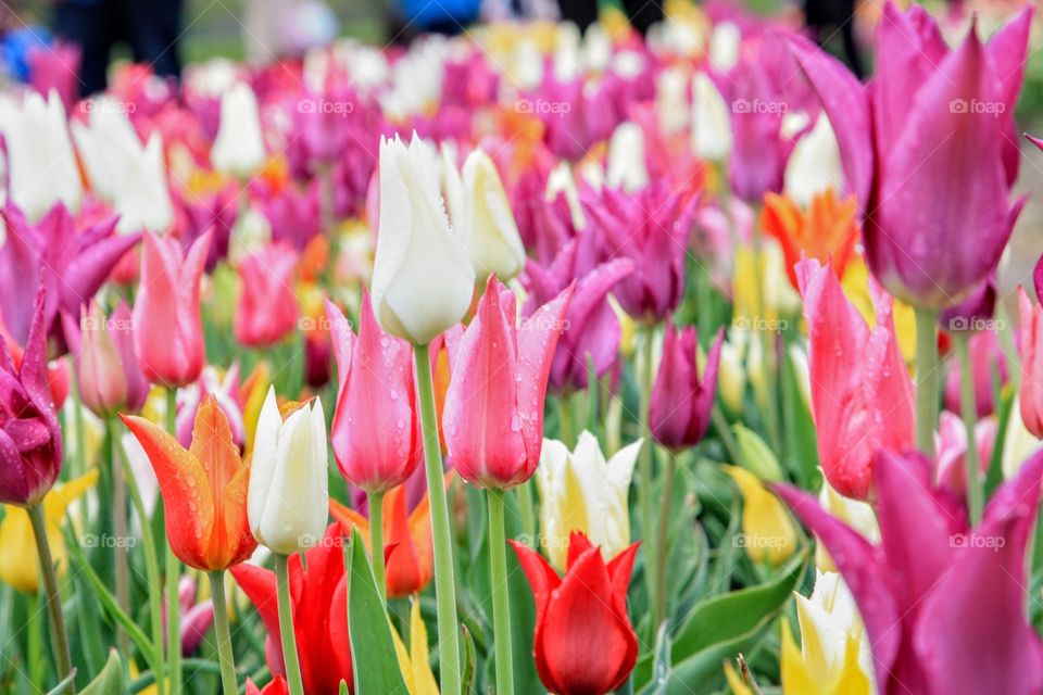 mix the spring colors