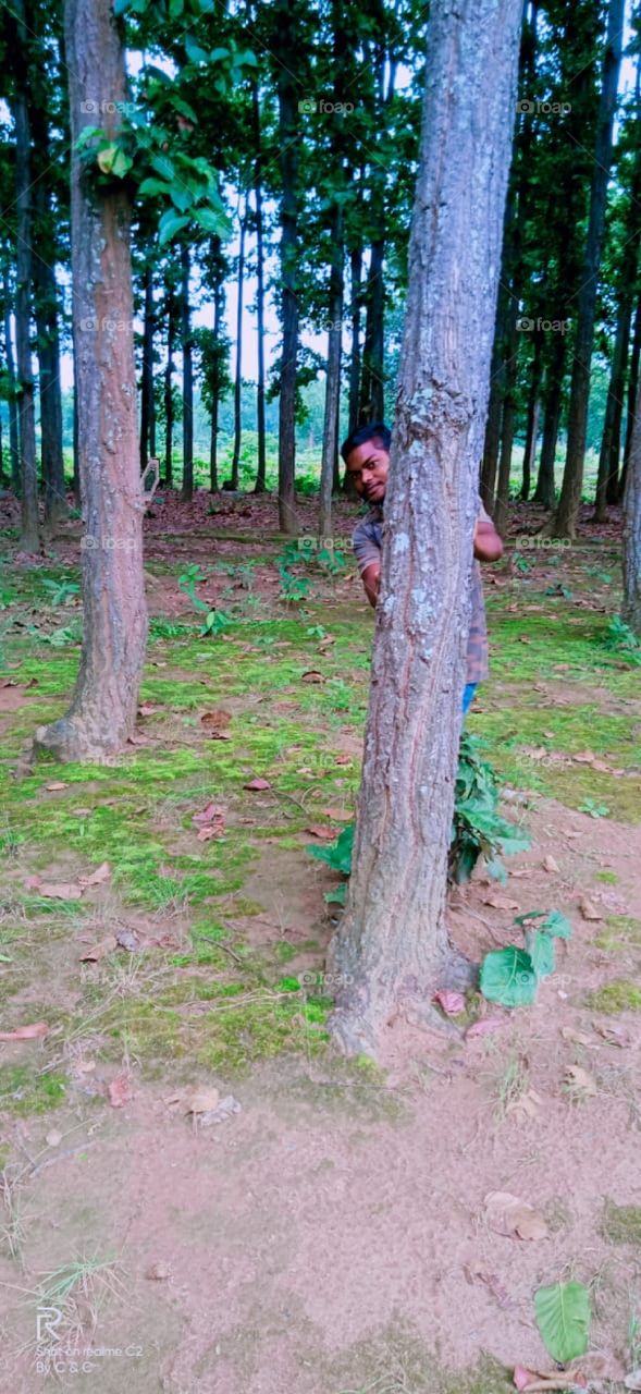 my best friend #### behind the tree 🌲🌲🌲🌲🌲######😀😀😀🥰🥰