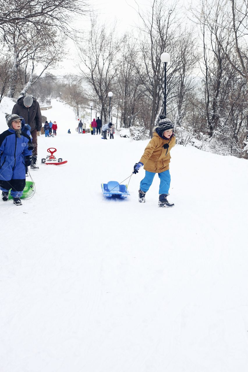 Snow, Winter, Cold, Ice, Child