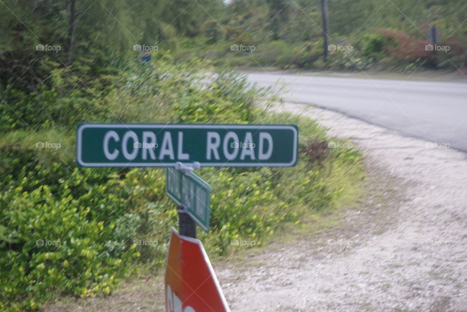 coral road