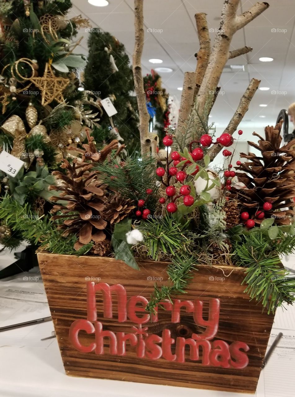 Merry Christmas decoration with pinecones and red berries