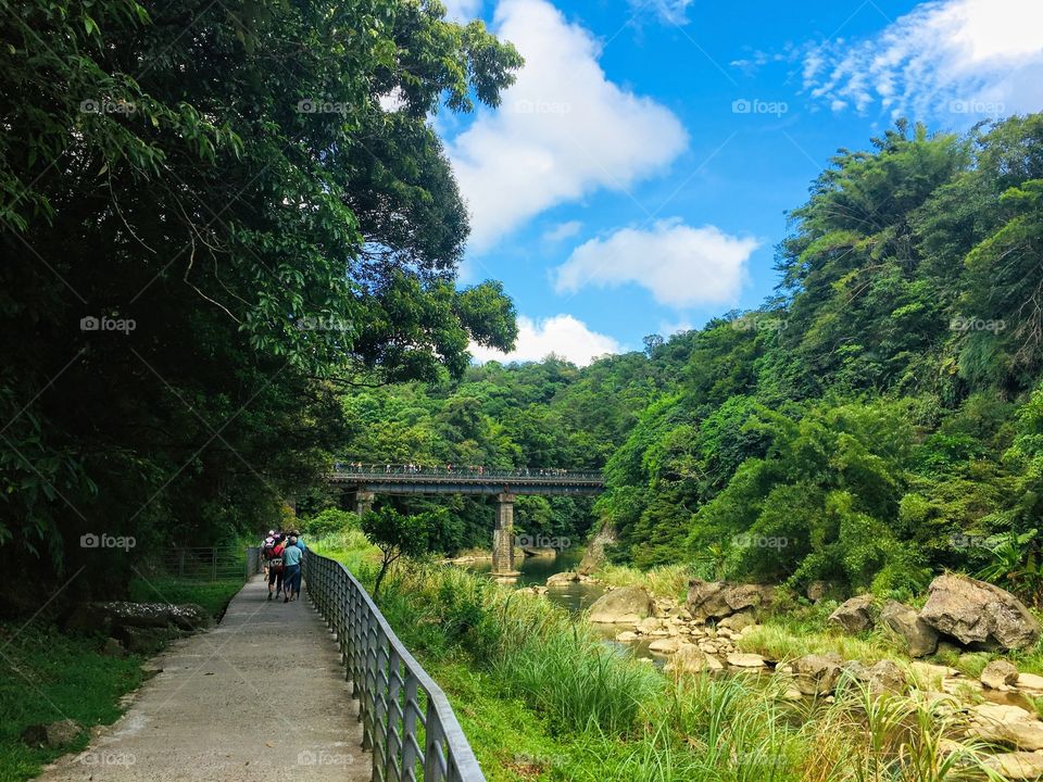 This photo was taken in Shifen District, Taiwan 🇹🇼 Natural Black and Virgin Forest 