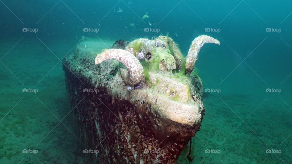 underwater mascot