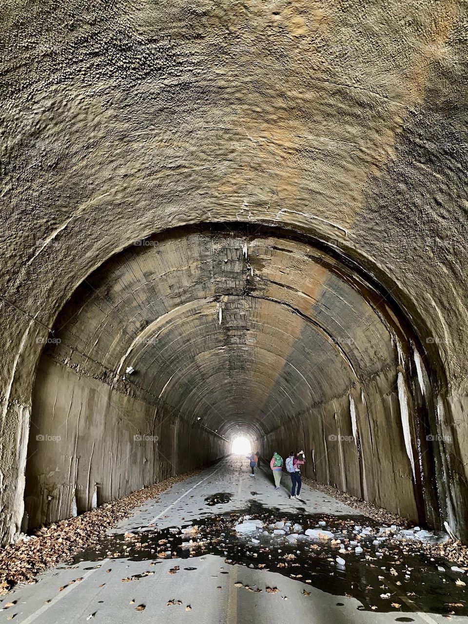 People taking pictures inside an old railway tunnel with icicles on the walls
