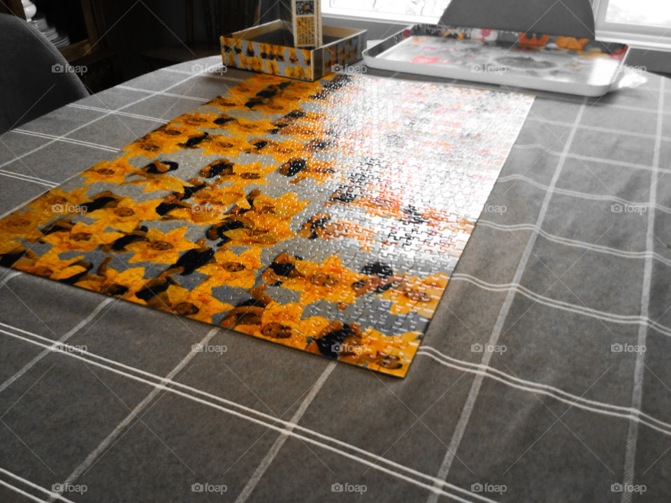 Puzzle of an Anne Geddes Photograph