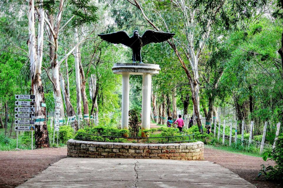 bird statue in park at the city