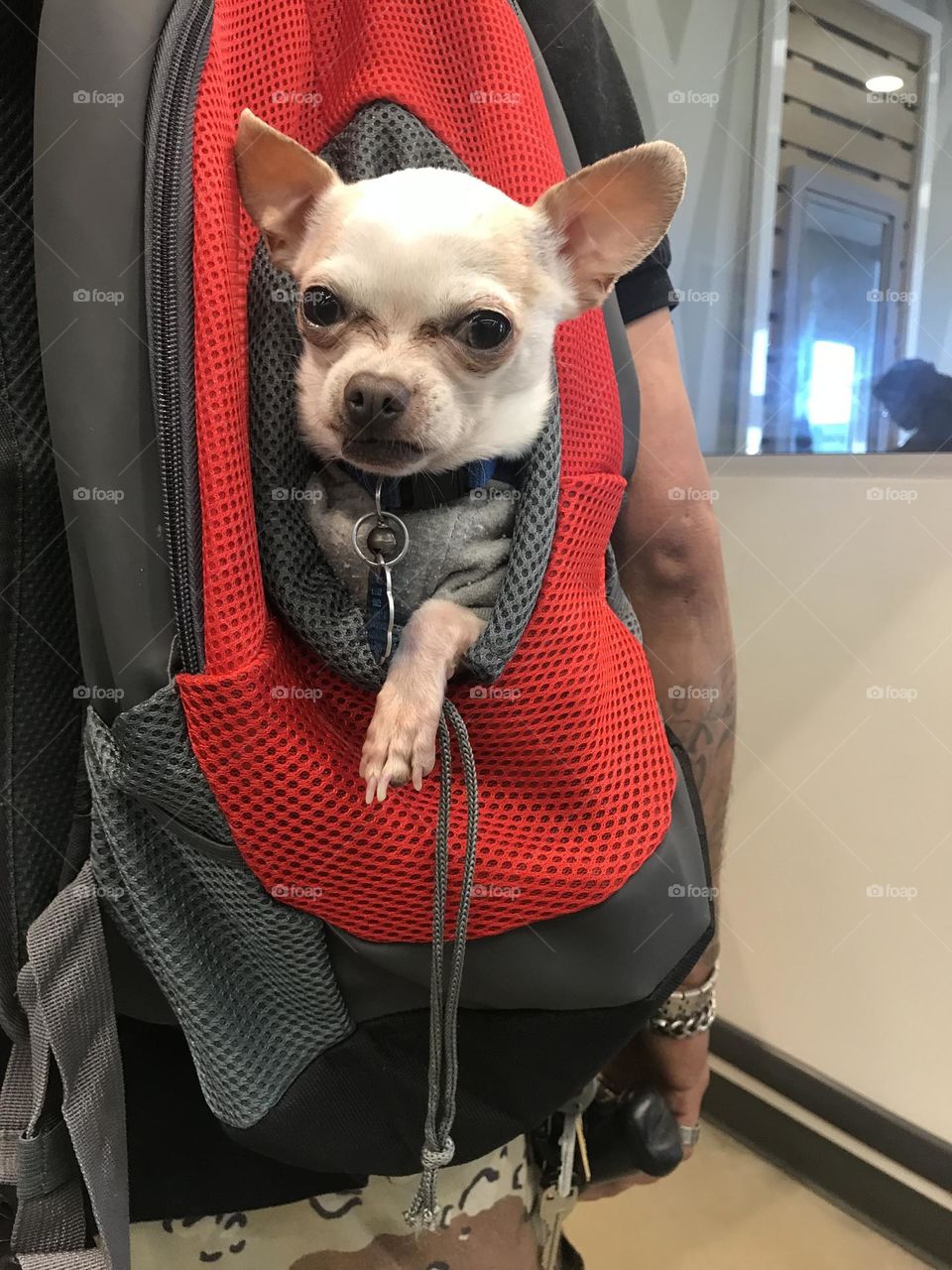 Nail salon before pics