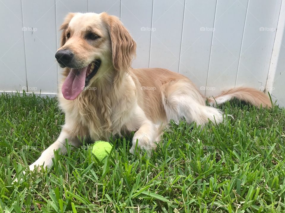 Playing with ball outside 