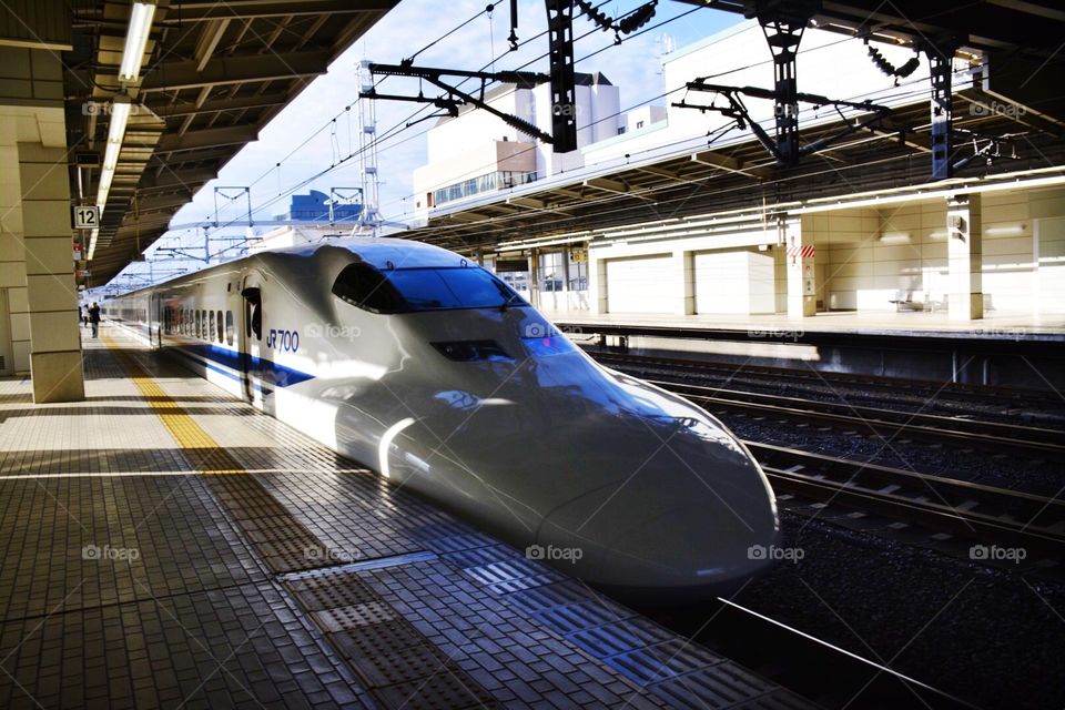 Shinkansen (Bullet Train)