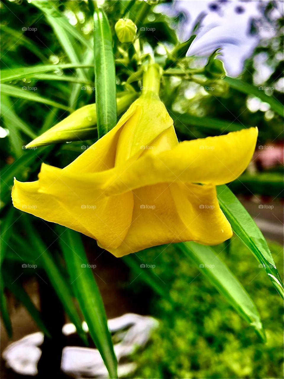 Photo of the month July