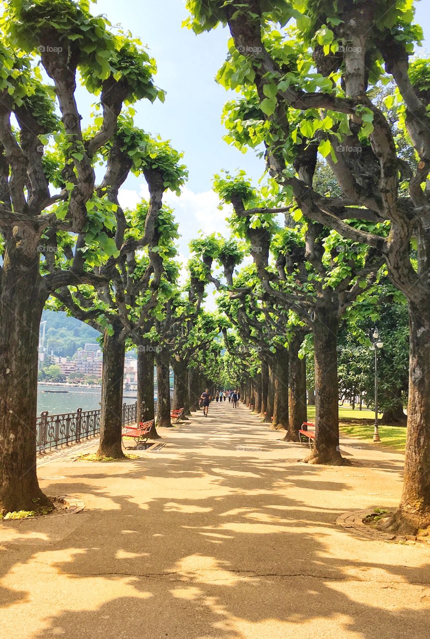 Park in Lugano 