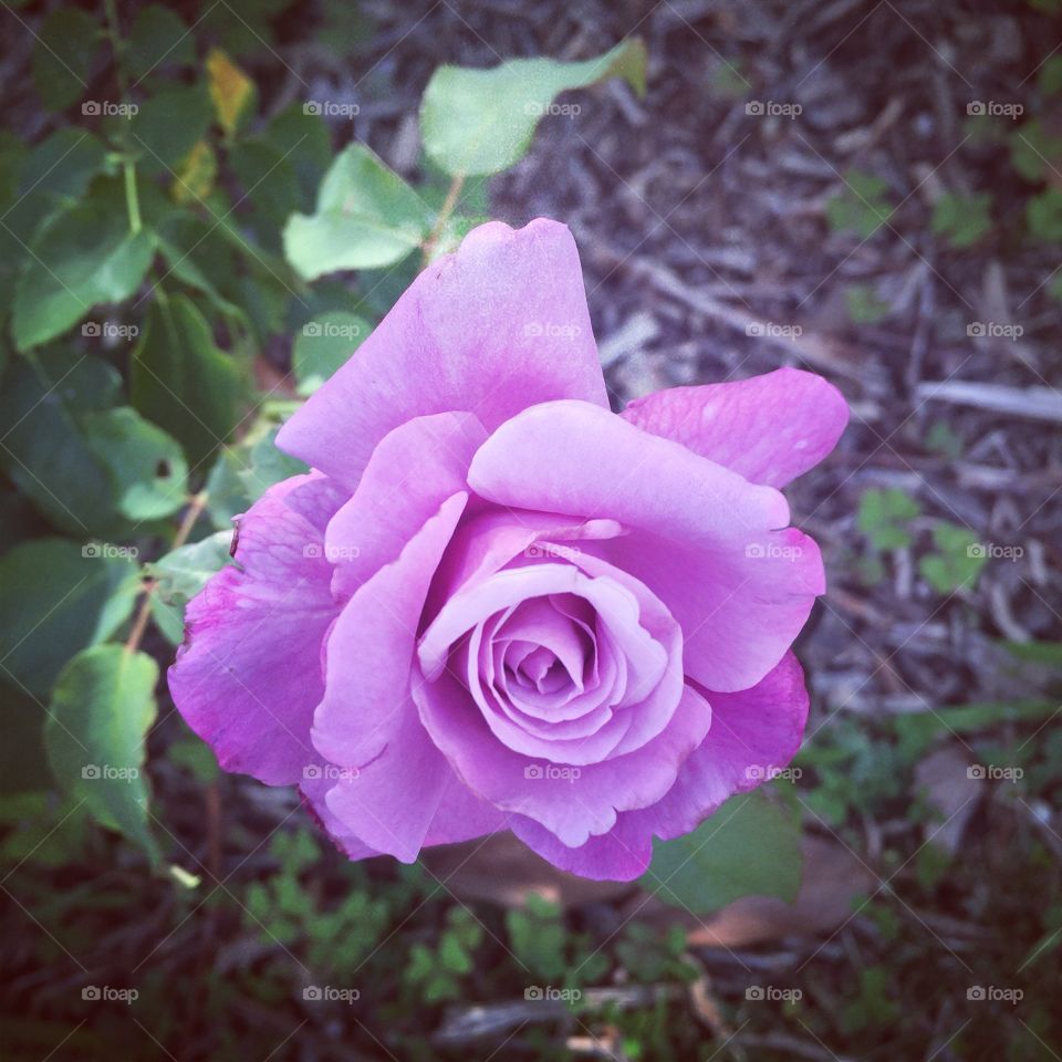 Unbelievably Beautiful to me