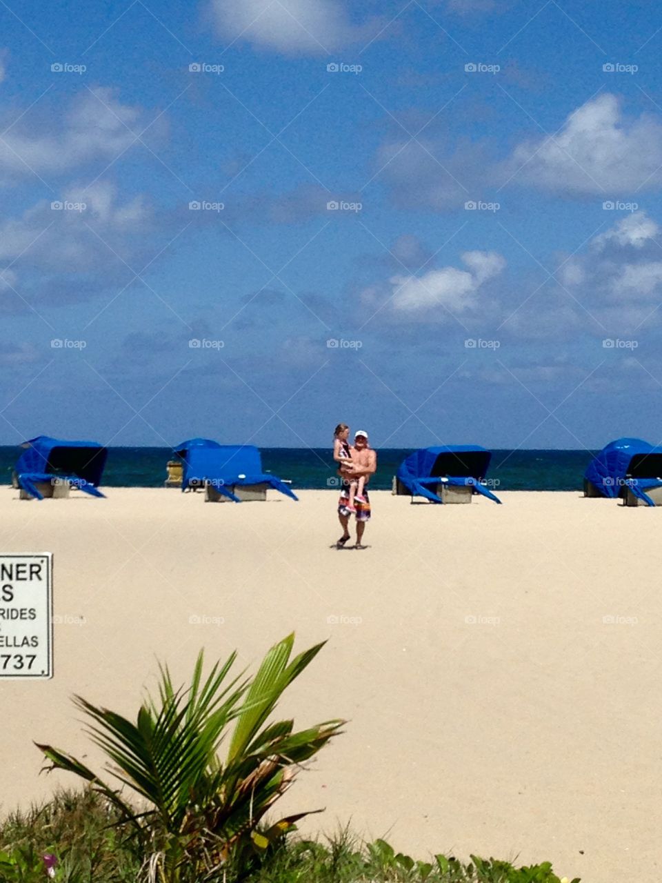 Tropical View of Beach Sky Plants Cabanas