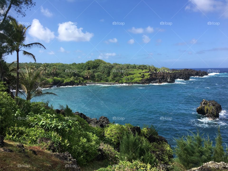 Maui natural