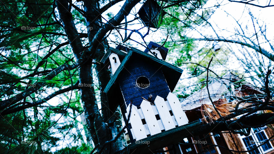 birdhouse