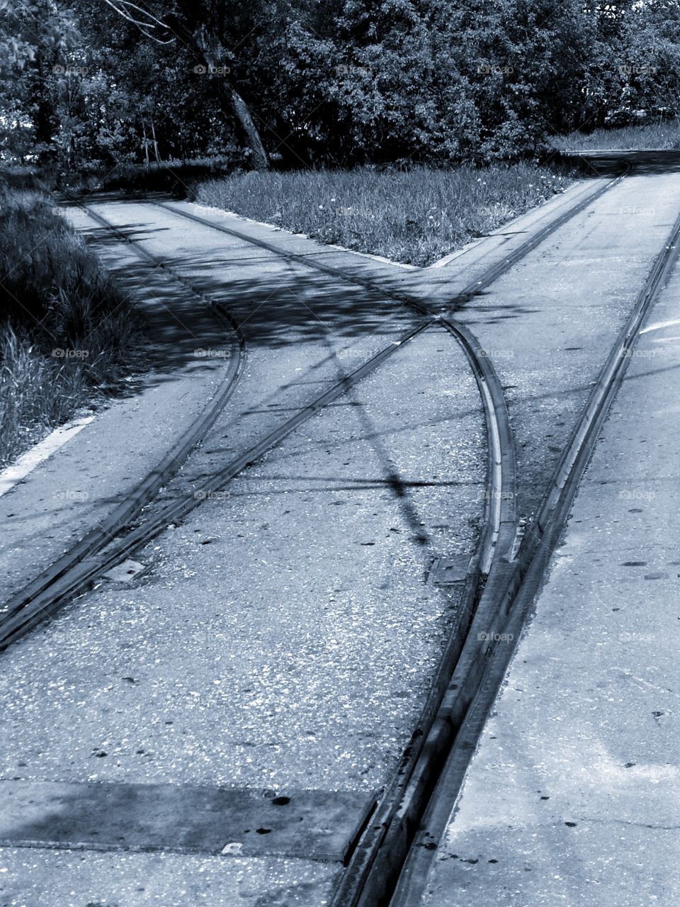 Choice.  The rails diverge in two directions