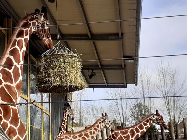 Zoo Odense