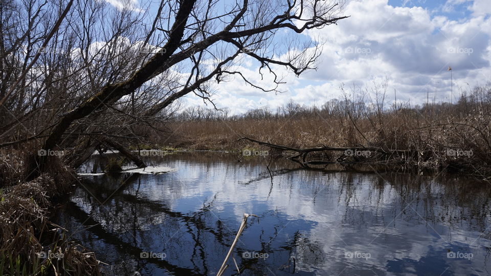 Cloudy sky reflecting in lake