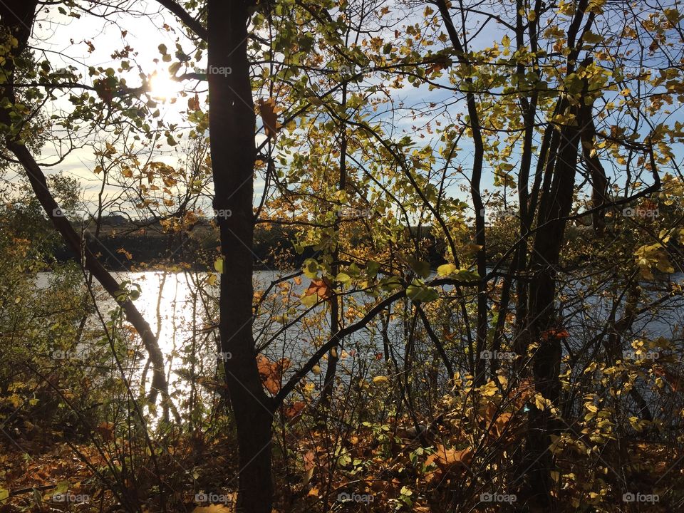 When autumn comes, I bloom anew; The Russian frost does wonders for my health; Anew I fall in love with life's routine... A.Pushkin