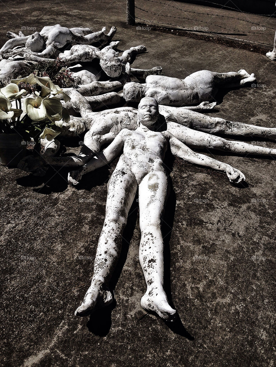 In Memory of the Innocents