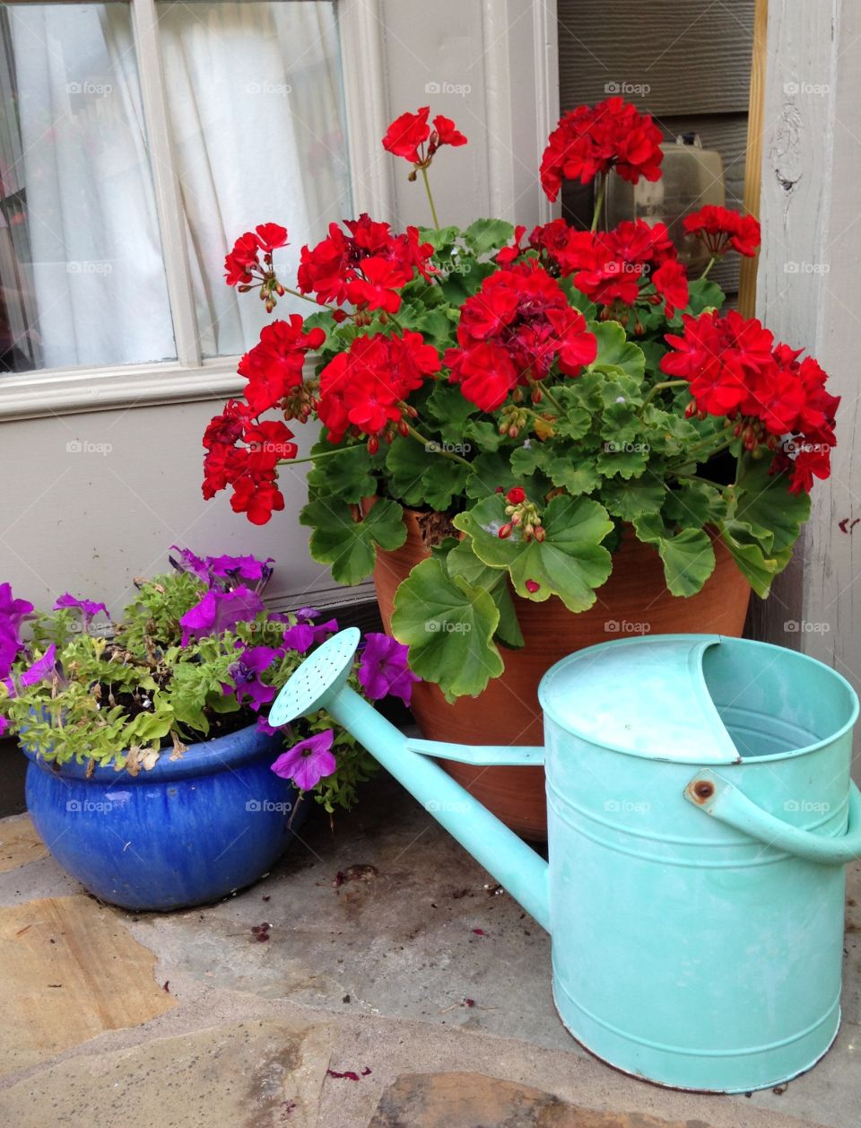 Flowers and watering can 