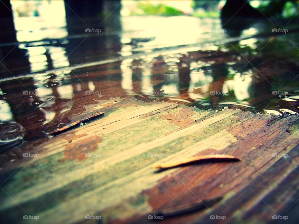 Rain reflections 