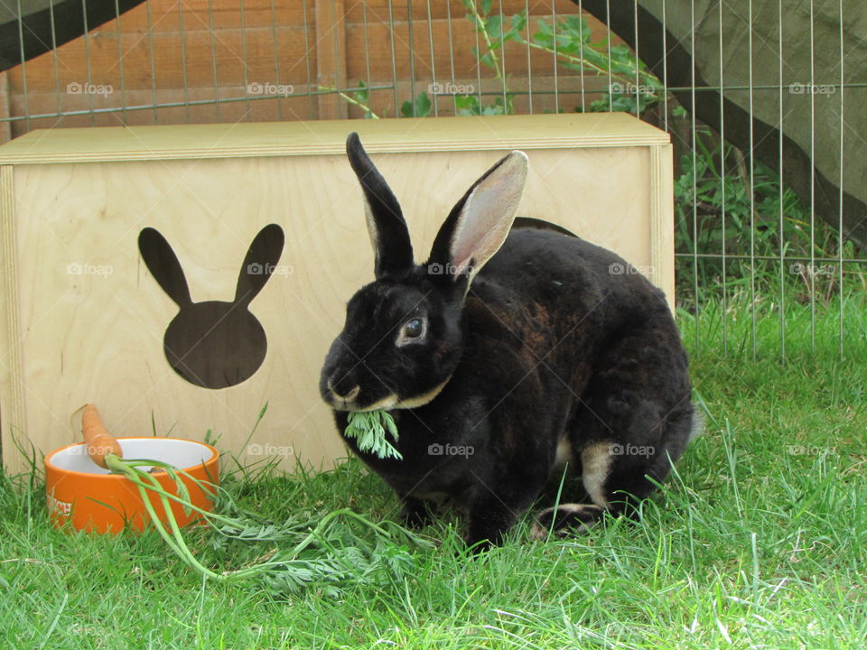 munching on one of her favourite foods