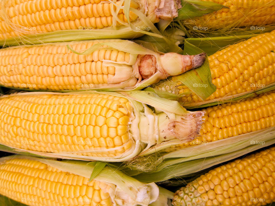 Corn.