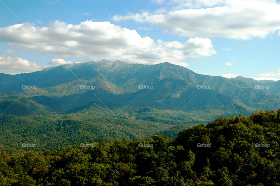 North Carolina mountains