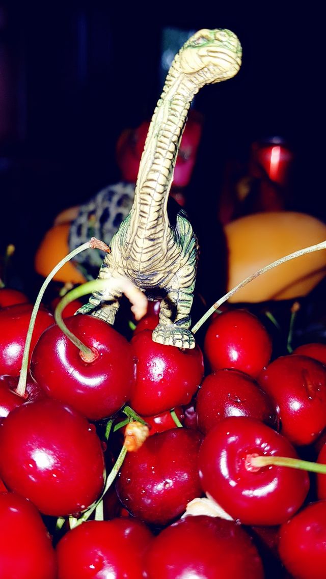 dinosaur
