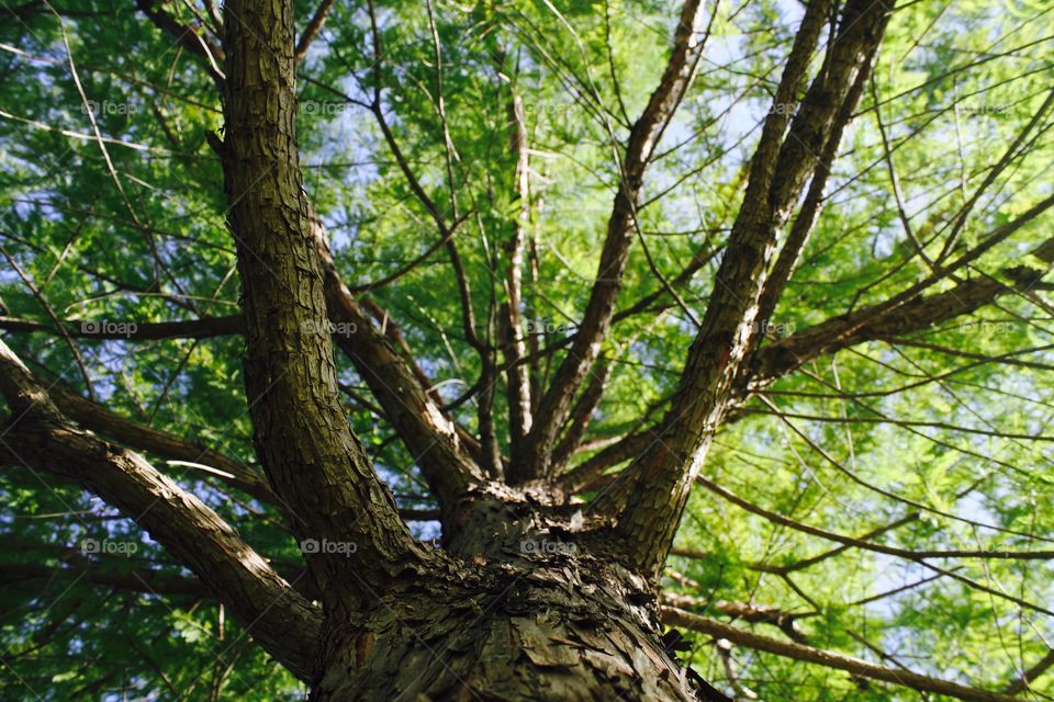 perspective. if you change the way you look at things, the things you look at change.