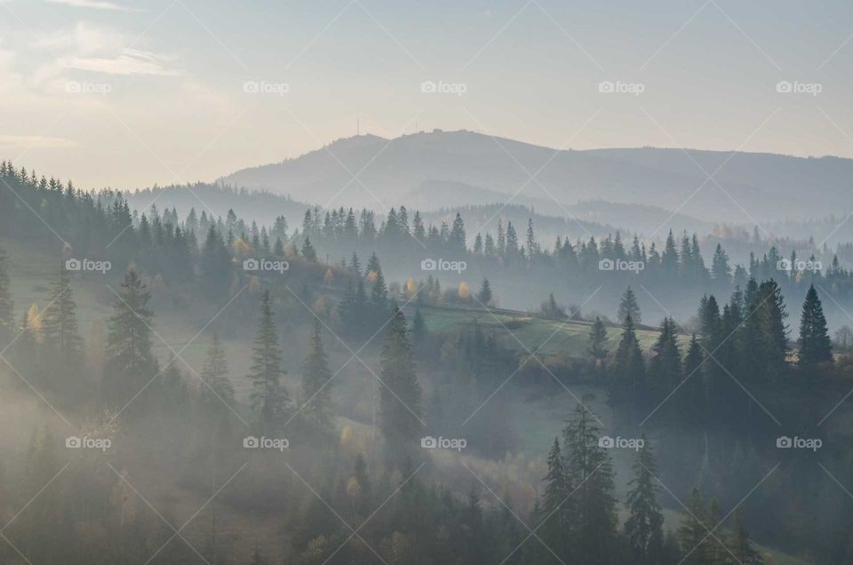 Foggy morning in the Carpathian Mountains