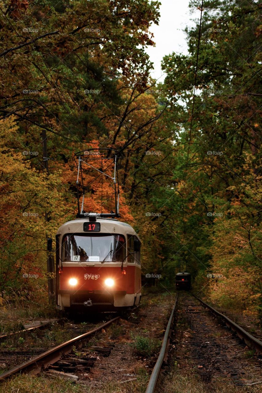 Tatra T3 tram in an autumn forest 😍