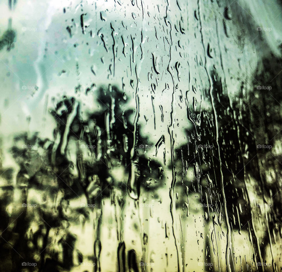 Reflections of trees appear distorted on this window pane wet with rain