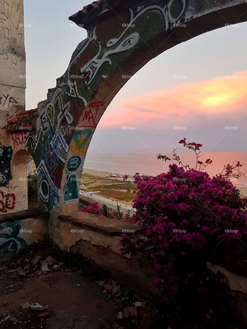 beautiful view during sunset