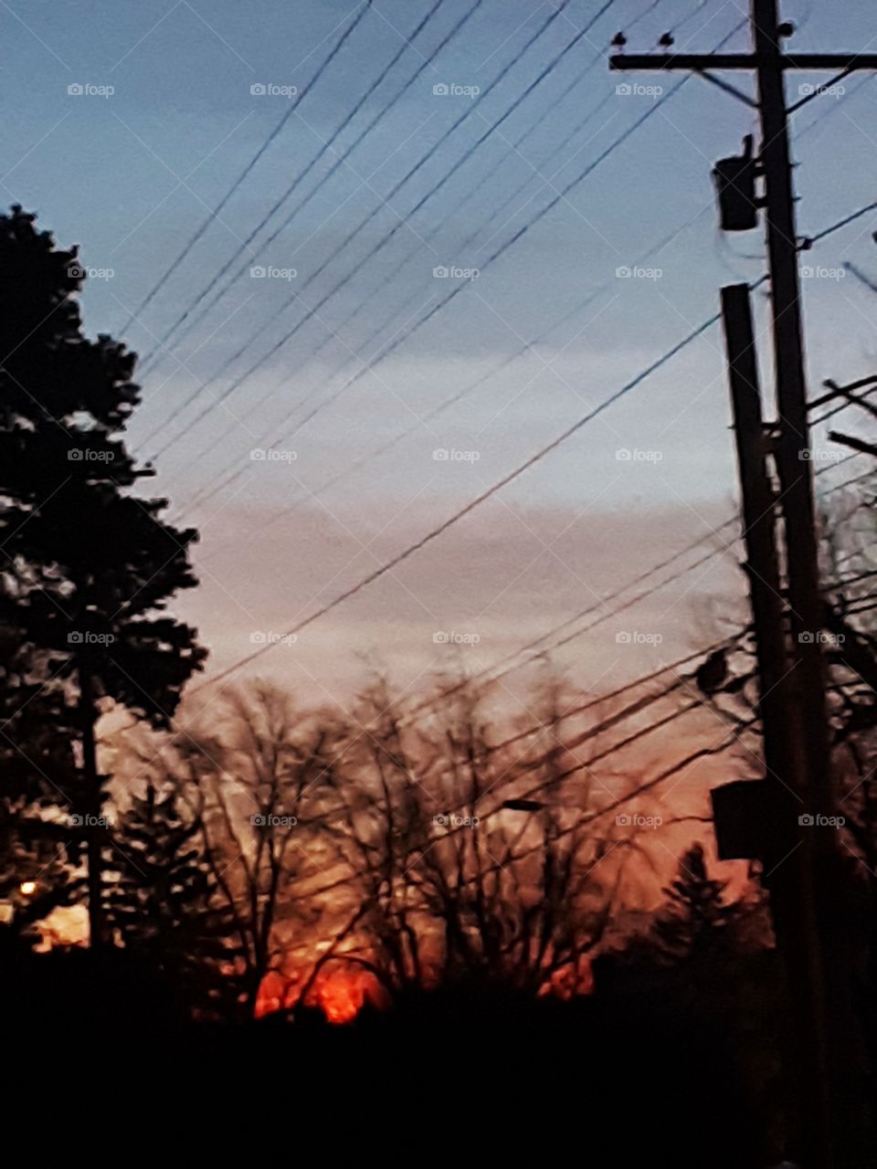 Hot Fish Freeway at Dawn