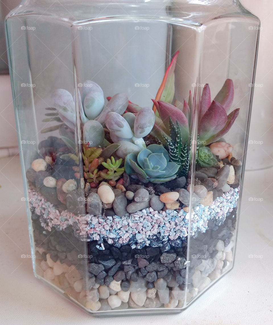 The succulent terrarium in a glass jar