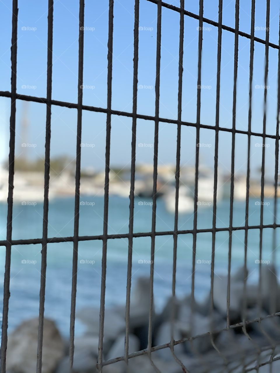 Marina Beyond the bars